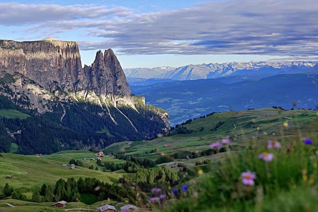 Paradiso Pure.Living Vegan Hotel Alpe Di Siusi Esterno foto